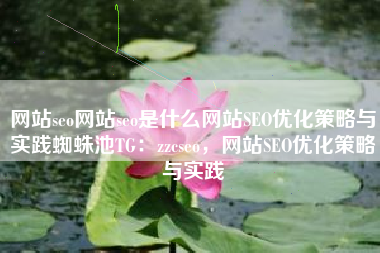网站seo网站seo是什么网站SEO优化策略与实践蜘蛛池TG：zzcseo，网站SEO优化策略与实践