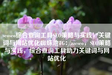 seoseo综合查询工具SEO策略与实践，关键词与网站优化蜘蛛池TG：zzcseo，SEO策略与实践，综合查询工具助力关键词与网站优化