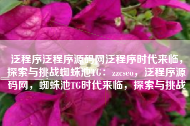 泛程序泛程序源码网泛程序时代来临，探索与挑战蜘蛛池TG：zzcseo，泛程序源码网，蜘蛛池TG时代来临，探索与挑战