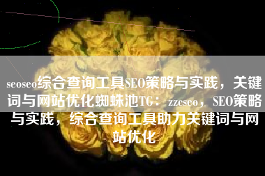seoseo综合查询工具SEO策略与实践，关键词与网站优化蜘蛛池TG：zzcseo，SEO策略与实践，综合查询工具助力关键词与网站优化