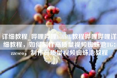 详细教程_哔哩哔哩bilibili教程哔哩哔哩详细教程，如何制作高质量视频蜘蛛池TG：zzcseo，制作高质量视频蜘蛛池教程