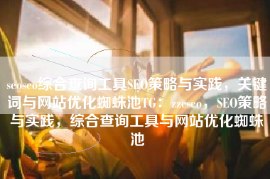 seoseo综合查询工具SEO策略与实践，关键词与网站优化蜘蛛池TG：zzcseo，SEO策略与实践，综合查询工具与网站优化蜘蛛池