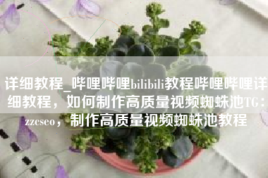 详细教程_哔哩哔哩bilibili教程哔哩哔哩详细教程，如何制作高质量视频蜘蛛池TG：zzcseo，制作高质量视频蜘蛛池教程