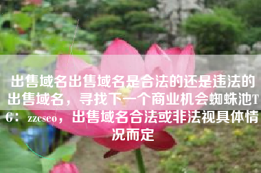 出售域名出售域名是合法的还是违法的出售域名，寻找下一个商业机会蜘蛛池TG：zzcseo，出售域名合法或非法视具体情况而定