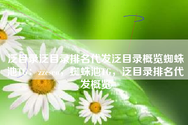 泛目录泛目录排名代发泛目录概览蜘蛛池TG：zzcseo，蜘蛛池TG，泛目录排名代发概览