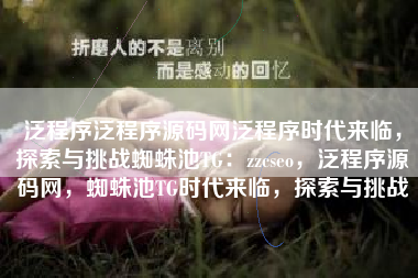 泛程序泛程序源码网泛程序时代来临，探索与挑战蜘蛛池TG：zzcseo，泛程序源码网，蜘蛛池TG时代来临，探索与挑战