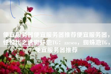 便宜服务器便宜服务器推荐便宜服务器，性价比之选蜘蛛池TG：zzcseo，蜘蛛池TG，便宜服务器推荐