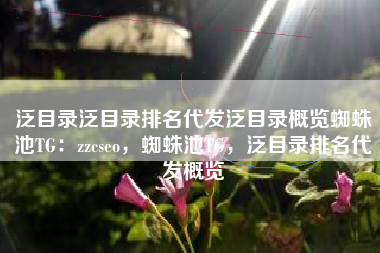泛目录泛目录排名代发泛目录概览蜘蛛池TG：zzcseo，蜘蛛池TG，泛目录排名代发概览