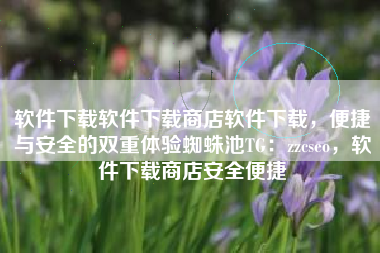 软件下载软件下载商店软件下载，便捷与安全的双重体验蜘蛛池TG：zzcseo，软件下载商店安全便捷