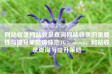 网站收录网站收录查询网站收录的重要性与提升策略蜘蛛池TG：zzcseo，网站收录查询与提升策略