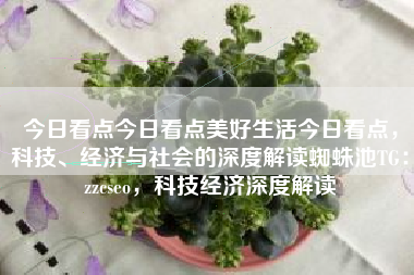 今日看点今日看点美好生活今日看点，科技、经济与社会的深度解读蜘蛛池TG：zzcseo，科技经济深度解读