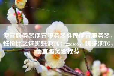 便宜服务器便宜服务器推荐便宜服务器，性价比之选蜘蛛池TG：zzcseo，蜘蛛池TG，便宜服务器推荐