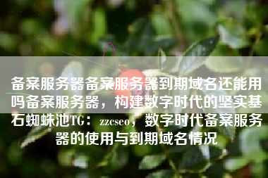 备案服务器备案服务器到期域名还能用吗备案服务器，构建数字时代的坚实基石蜘蛛池TG：zzcseo，数字时代备案服务器的使用与到期域名情况