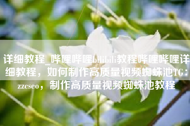 详细教程_哔哩哔哩bilibili教程哔哩哔哩详细教程，如何制作高质量视频蜘蛛池TG：zzcseo，制作高质量视频蜘蛛池教程
