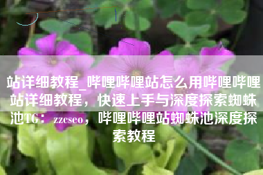 站详细教程_哔哩哔哩站怎么用哔哩哔哩站详细教程，快速上手与深度探索蜘蛛池TG：zzcseo，哔哩哔哩站蜘蛛池深度探索教程