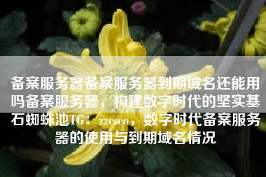备案服务器备案服务器到期域名还能用吗备案服务器，构建数字时代的坚实基石蜘蛛池TG：zzcseo，数字时代备案服务器的使用与到期域名情况
