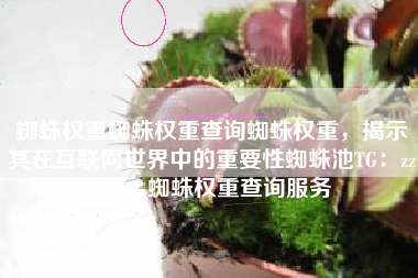 蜘蛛权重蜘蛛权重查询蜘蛛权重，揭示其在互联网世界中的重要性蜘蛛池TG：zzcseo，蜘蛛权重查询服务