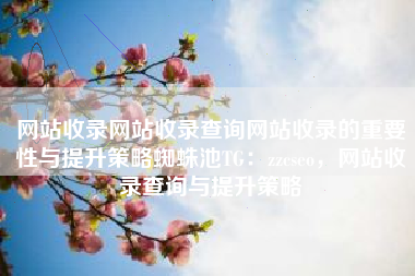 网站收录网站收录查询网站收录的重要性与提升策略蜘蛛池TG：zzcseo，网站收录查询与提升策略