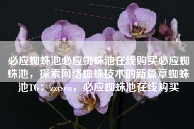 必应蜘蛛池必应蜘蛛池在线购买必应蜘蛛池，探索网络蜘蛛技术的新篇章蜘蛛池TG：zzcseo，必应蜘蛛池在线购买