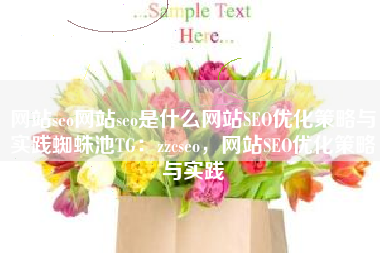 网站seo网站seo是什么网站SEO优化策略与实践蜘蛛池TG：zzcseo，网站SEO优化策略与实践