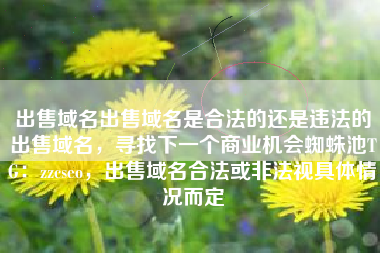 出售域名出售域名是合法的还是违法的出售域名，寻找下一个商业机会蜘蛛池TG：zzcseo，出售域名合法或非法视具体情况而定