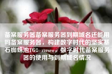 备案服务器备案服务器到期域名还能用吗备案服务器，构建数字时代的坚实基石蜘蛛池TG：zzcseo，数字时代备案服务器的使用与到期域名情况