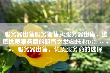 服务器出售服务器售卖服务器出售，选择优质服务商的明智之举蜘蛛池TG：zzcseo，服务器出售，优质服务商的选择