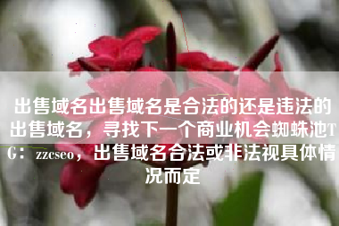 出售域名出售域名是合法的还是违法的出售域名，寻找下一个商业机会蜘蛛池TG：zzcseo，出售域名合法或非法视具体情况而定