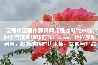 泛程序泛程序源码网泛程序时代来临，探索与挑战蜘蛛池TG：zzcseo，泛程序源码网，蜘蛛池TG时代来临，探索与挑战