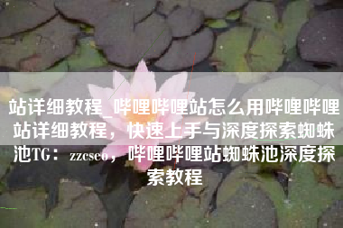站详细教程_哔哩哔哩站怎么用哔哩哔哩站详细教程，快速上手与深度探索蜘蛛池TG：zzcseo，哔哩哔哩站蜘蛛池深度探索教程