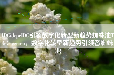IDCidcpcIDC引领数字化转型新趋势蜘蛛池TG：zzcseo，数字化转型新趋势引领者蜘蛛池