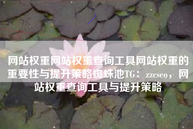 网站权重网站权重查询工具网站权重的重要性与提升策略蜘蛛池TG：zzcseo，网站权重查询工具与提升策略