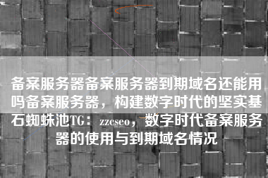 备案服务器备案服务器到期域名还能用吗备案服务器，构建数字时代的坚实基石蜘蛛池TG：zzcseo，数字时代备案服务器的使用与到期域名情况