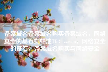 备案域名备案域名购买备案域名，网络安全的基石蜘蛛池TG：zzcseo，网络安全的基石，备案域名购买与网络安全