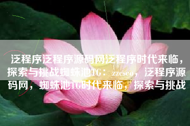 泛程序泛程序源码网泛程序时代来临，探索与挑战蜘蛛池TG：zzcseo，泛程序源码网，蜘蛛池TG时代来临，探索与挑战