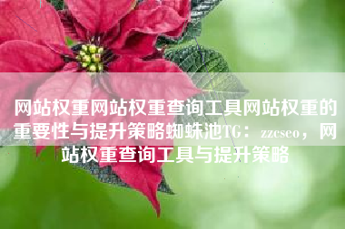 网站权重网站权重查询工具网站权重的重要性与提升策略蜘蛛池TG：zzcseo，网站权重查询工具与提升策略