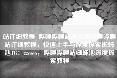 站详细教程_哔哩哔哩站怎么用哔哩哔哩站详细教程，快速上手与深度探索蜘蛛池TG：zzcseo，哔哩哔哩站蜘蛛池深度探索教程