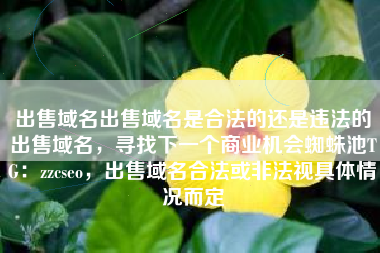 出售域名出售域名是合法的还是违法的出售域名，寻找下一个商业机会蜘蛛池TG：zzcseo，出售域名合法或非法视具体情况而定