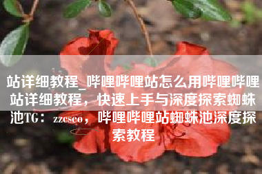 站详细教程_哔哩哔哩站怎么用哔哩哔哩站详细教程，快速上手与深度探索蜘蛛池TG：zzcseo，哔哩哔哩站蜘蛛池深度探索教程