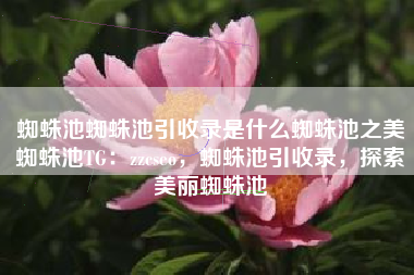 蜘蛛池蜘蛛池引收录是什么蜘蛛池之美蜘蛛池TG：zzcseo，蜘蛛池引收录，探索美丽蜘蛛池