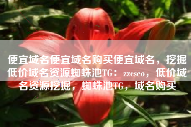 便宜域名便宜域名购买便宜域名，挖掘低价域名资源蜘蛛池TG：zzcseo，低价域名资源挖掘，蜘蛛池TG，域名购买
