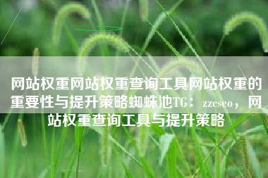 网站权重网站权重查询工具网站权重的重要性与提升策略蜘蛛池TG：zzcseo，网站权重查询工具与提升策略