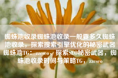 蜘蛛池收录蜘蛛池收录一般要多久蜘蛛池收录，探索搜索引擎优化的秘密武器蜘蛛池TG：zzcseo，探索SEO秘密武器，蜘蛛池收录时间与策略TG，zzcseo