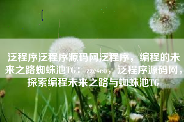 泛程序泛程序源码网泛程序，编程的未来之路蜘蛛池TG：zzcseo，泛程序源码网，探索编程未来之路与蜘蛛池TG