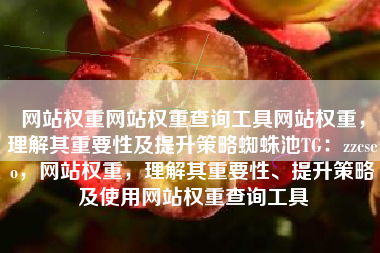 网站权重网站权重查询工具网站权重，理解其重要性及提升策略蜘蛛池TG：zzcseo，网站权重，理解其重要性、提升策略及使用网站权重查询工具