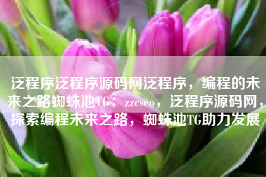 泛程序泛程序源码网泛程序，编程的未来之路蜘蛛池TG：zzcseo，泛程序源码网，探索编程未来之路，蜘蛛池TG助力发展