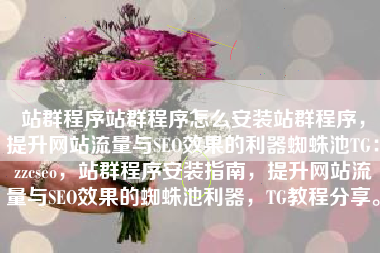 站群程序站群程序怎么安装站群程序，提升网站流量与SEO效果的利器蜘蛛池TG：zzcseo，站群程序安装指南，提升网站流量与SEO效果的蜘蛛池利器，TG教程分享。