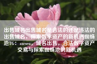 出售域名出售域名是合法的还是违法的出售域名，探索数字资产的新机遇蜘蛛池TG：zzcseo，域名出售，合法数字资产交易与探索蜘蛛池的新机遇