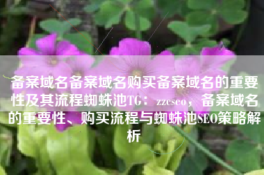 备案域名备案域名购买备案域名的重要性及其流程蜘蛛池TG：zzcseo，备案域名的重要性、购买流程与蜘蛛池SEO策略解析