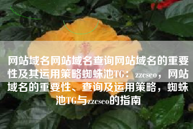网站域名网站域名查询网站域名的重要性及其运用策略蜘蛛池TG：zzcseo，网站域名的重要性、查询及运用策略，蜘蛛池TG与zzcseo的指南